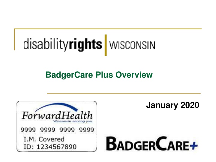badgercare plus overview n.w