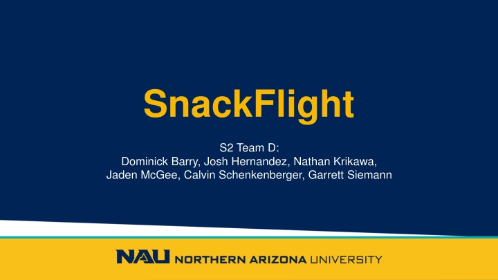 snackflight n.w