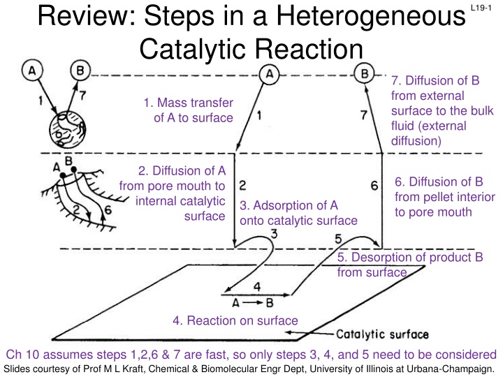 review steps in a heterogeneous catalytic reaction n.w