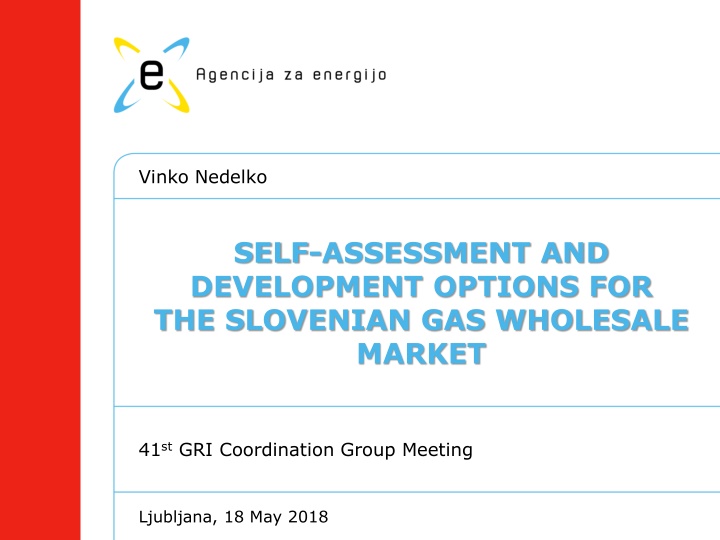 Self-Assessment and Development Options for the Slovenian Gas Wholesale Market