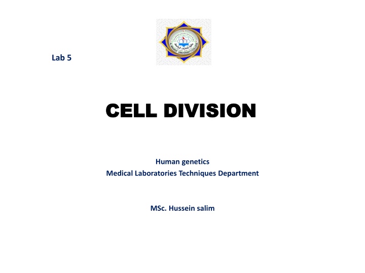 lab 5 n.w