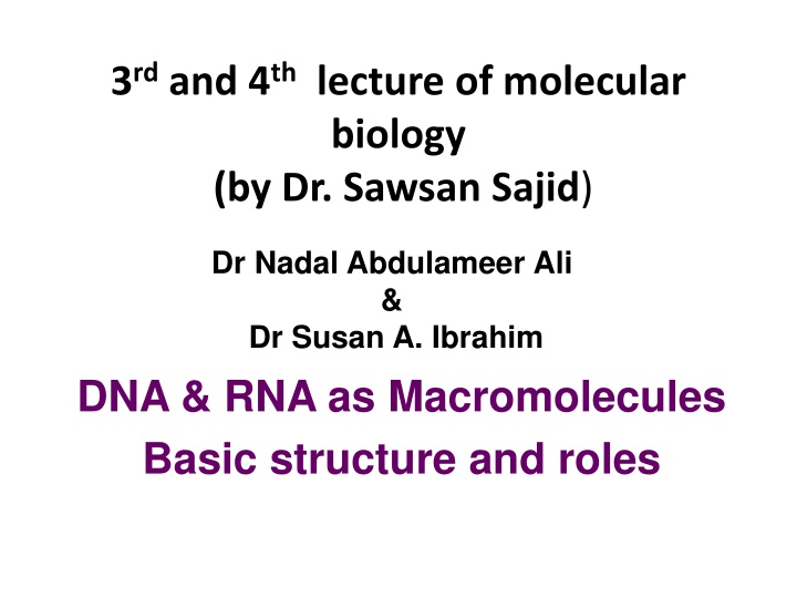 3 rd and 4 th lecture of molecular biology n.w