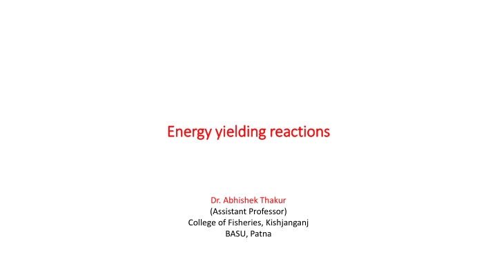 energy yielding reactions energy yielding n.w