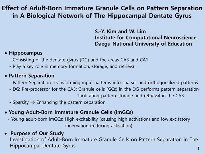 effect of adult born immature granule cells n.w