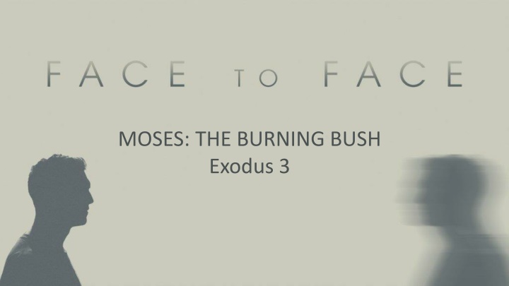 moses the burning bush exodus 3 n.w