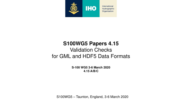 s100wg5 papers 4 15 validation checks n.w