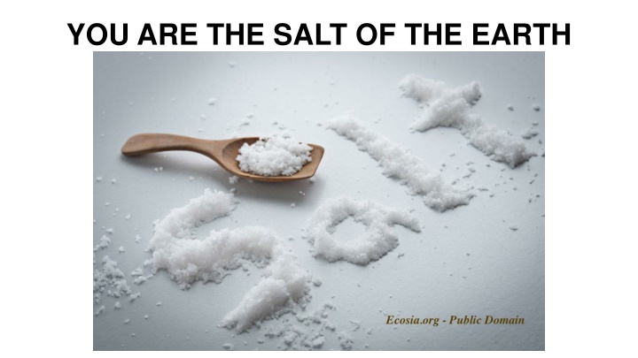 you are the salt of the earth n.w