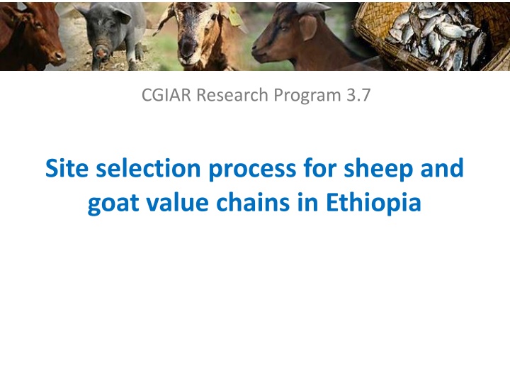 cgiar research program 3 7 n.w