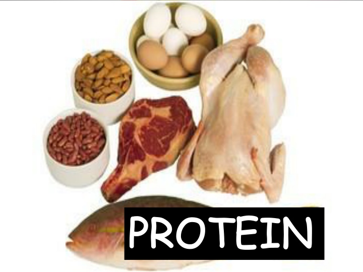 protein n.w