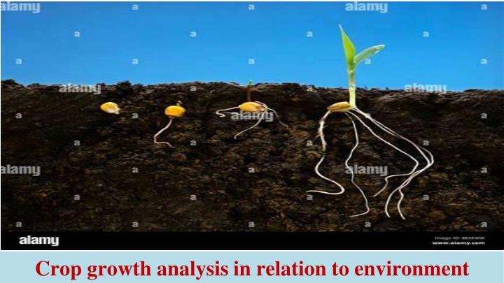 crop growth analysis in relation to environment n.w