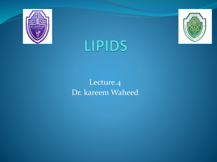 lecture 4 n.w