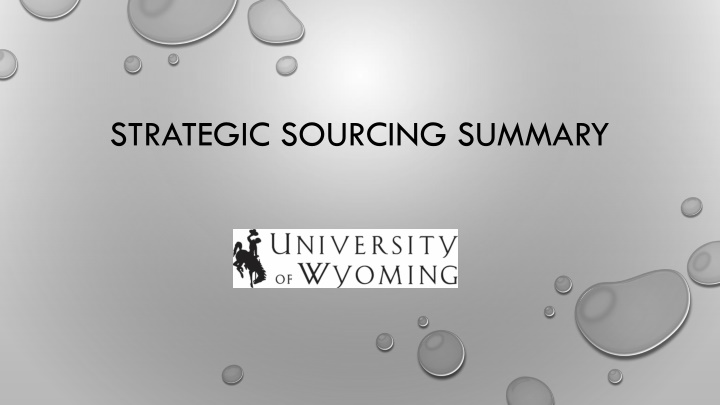 strategic sourcing summary n.w