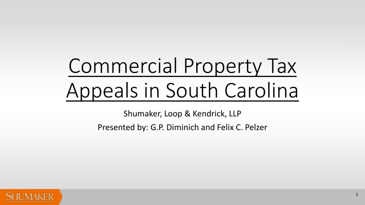 commercial property tax appeals in south carolina n.w