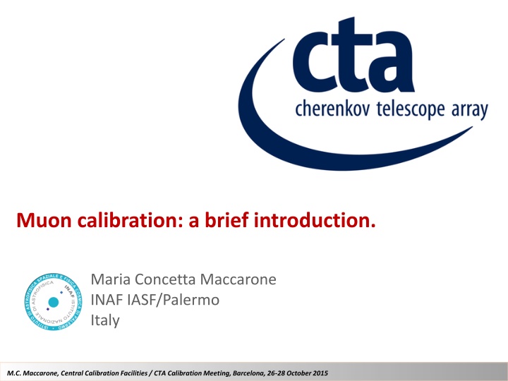 muon calibration a brief introduction n.w