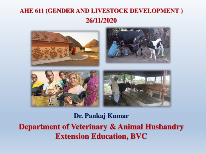 ahe 611 gender and livestock development n.w