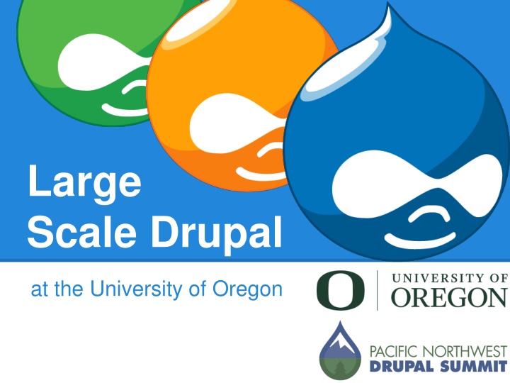 large scale drupal n.w