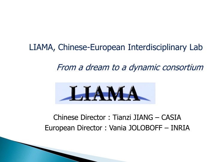 liama chinese european interdisciplinary lab n.w