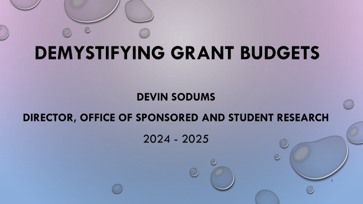 demystifying grant budgets n.w