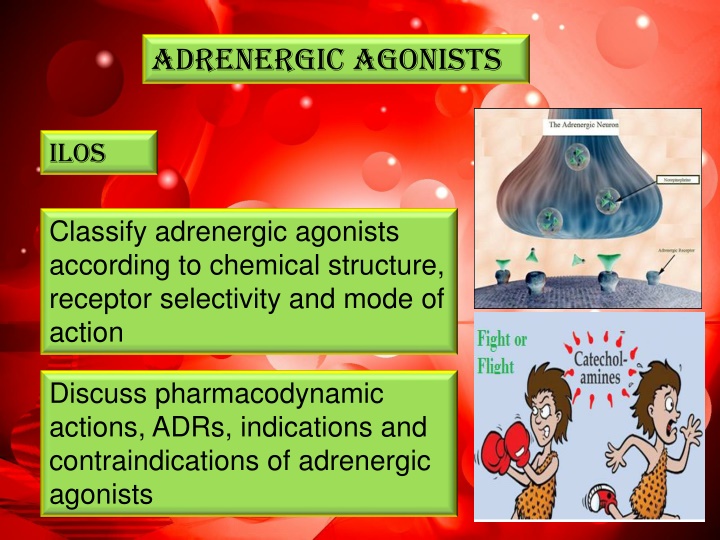 adrenergic agonists n.w