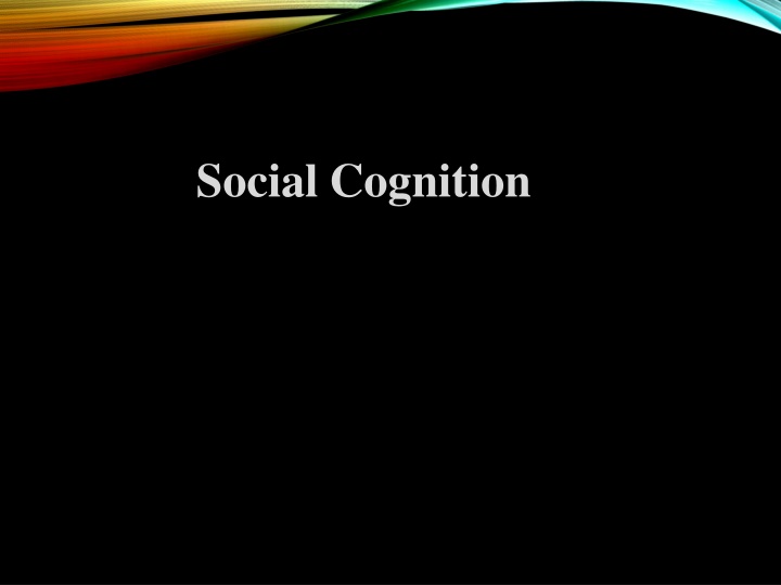 social cognition n.w