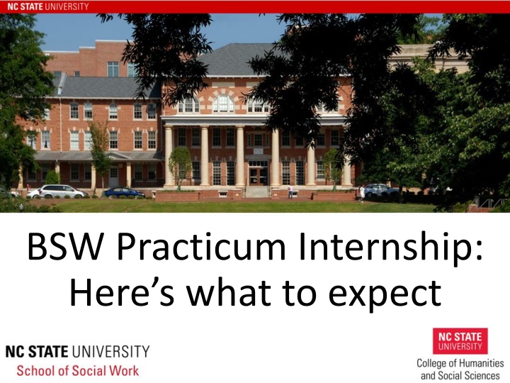 bsw practicum internship here s what to expect n.w