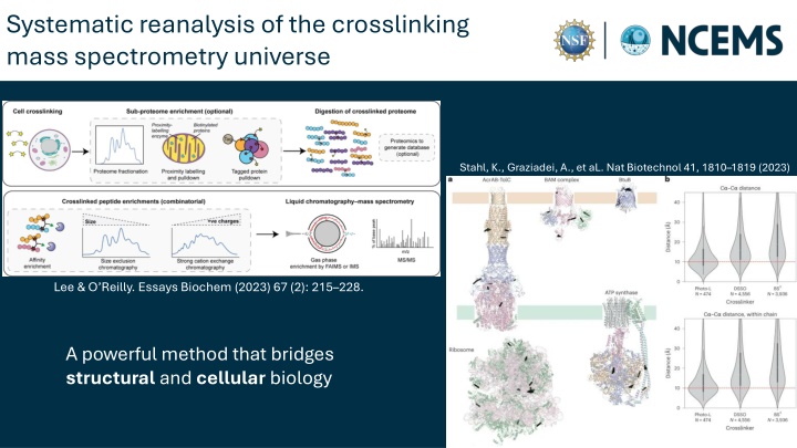systematic reanalysis of the crosslinking mass n.w