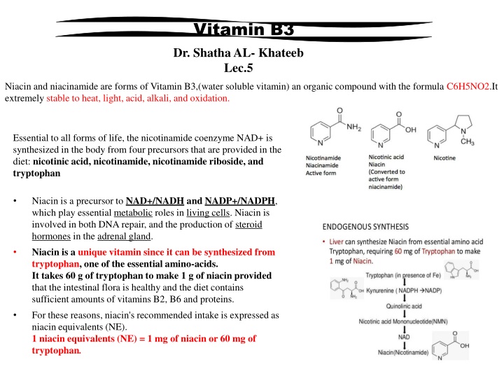 vitamin b3 dr shatha al khateeb lec 5 n.w