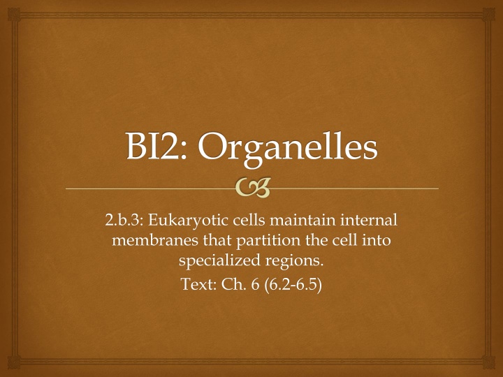 bi2 organelles n.w