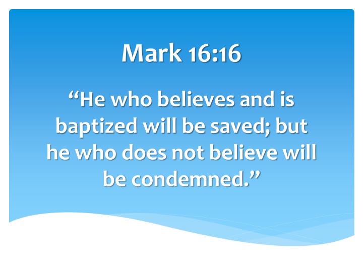 mark 16 16 n.w