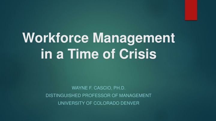 workforce management in a time of crisis n.w