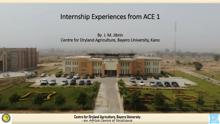 internship experiences from ace 1 internship n.w