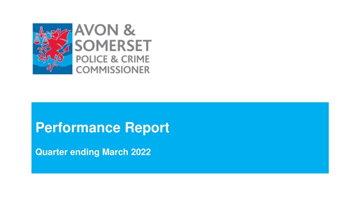 performance report n.w