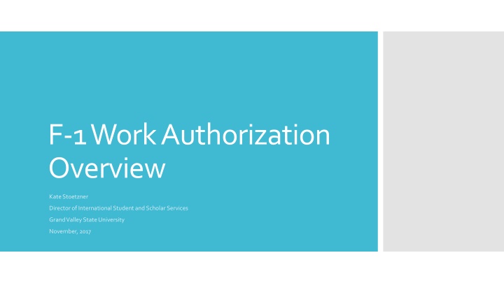 f 1 work authorization overview n.w