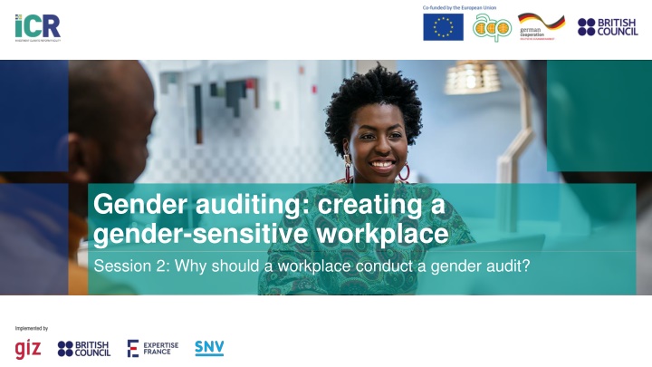 gender auditing creating a gender sensitive n.w