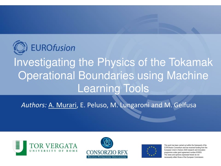 investigating the physics of the tokamak n.w