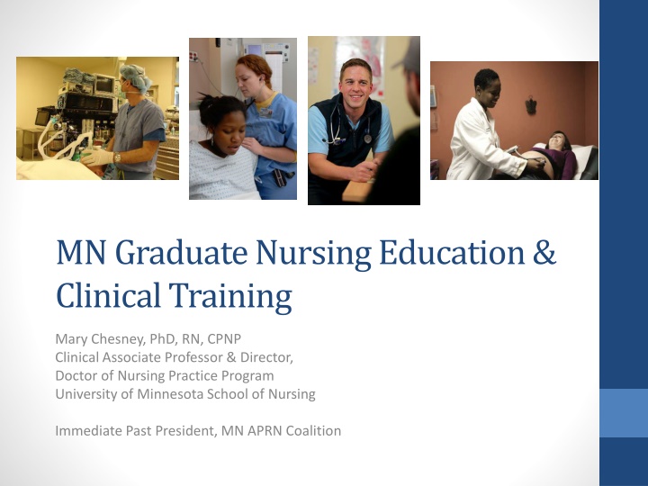 mn graduate nursing education clinical training n.w