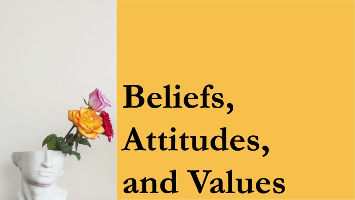 beliefs attitudes and values n.w