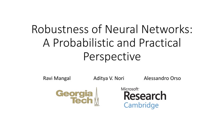 robustness of neural networks a probabilistic n.w