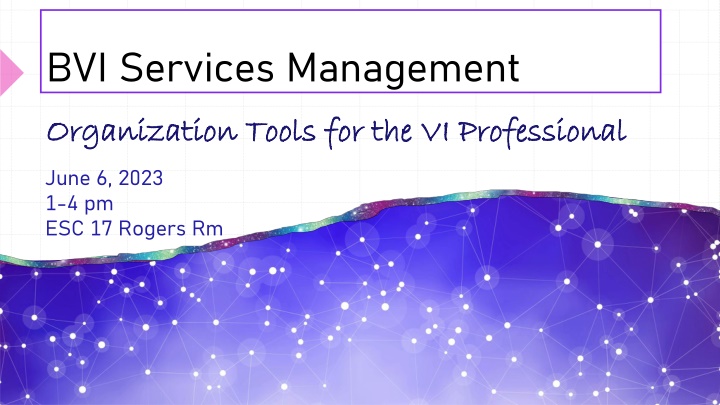 bvi services management n.w