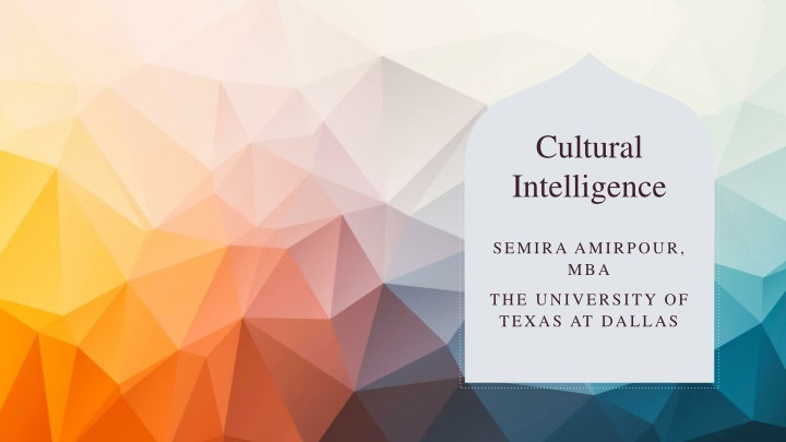 cultural intelligence n.w