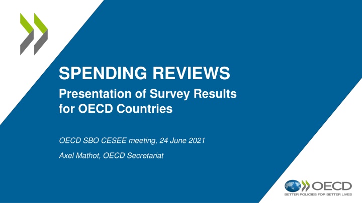 spending reviews presentation of survey results n.w