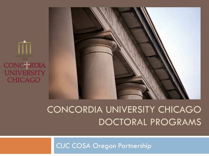 concordia university chicago doctoral programs n.w
