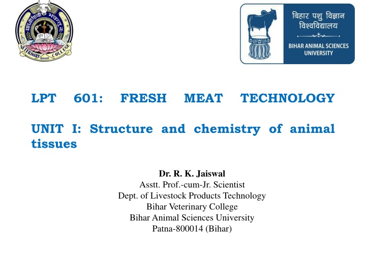 slide1 n.w