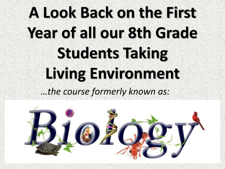 a look back on the first year n.w