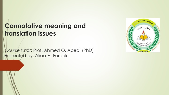 connotative meaning and translation issues n.w