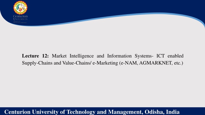 lecture 12 market intelligence and information n.w