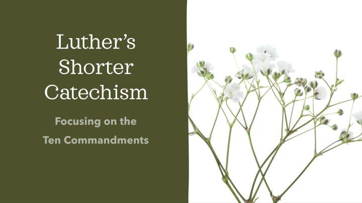 luther s shorter catechism n.w