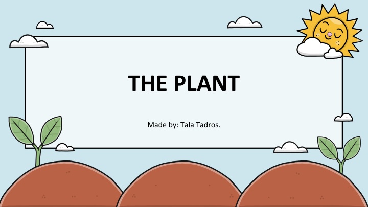 the plant n.w