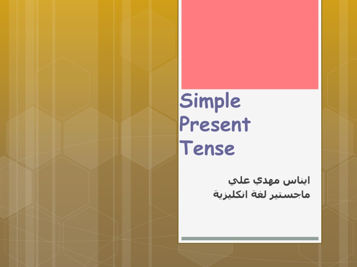 simple present tense n.w