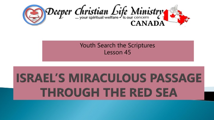 youth search the scriptures lesson 45 n.w